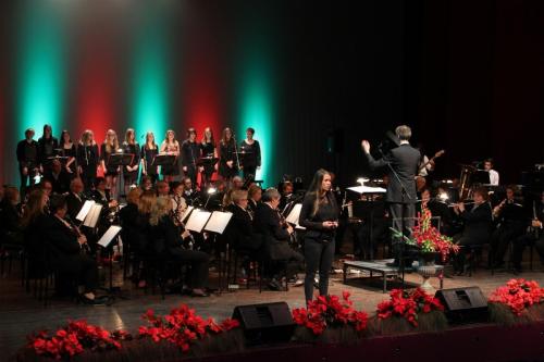 2014 - Kerstconcert